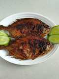 Ikan Baronang Bakar