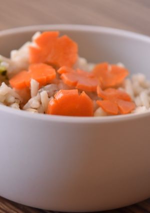 蔬食菜飯(電磁爐版） 的食譜成品照片