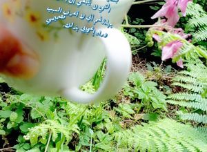 صورة لوصفة شاي بالنعناع