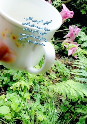صورة لوصفة شاي بالنعناع