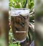 Langkah Gampang Membikin Resep Es cappucino cincau yang Lezat Sekali Anti Ribet, Mantap Sekali