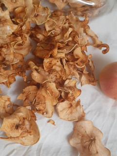 عکسی از دستور میوه خشک افتابی