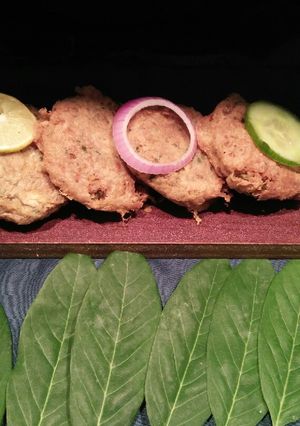 A picture of Beef Shami Kabab.
