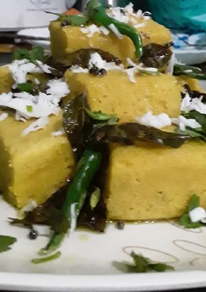 A picture of Gujrati instant khaman dhokla.