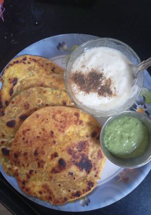 A picture of Namkeen Paneer Paratha.