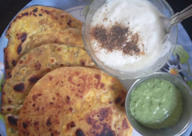 Recipe of Award-winning Namkeen Paneer Paratha