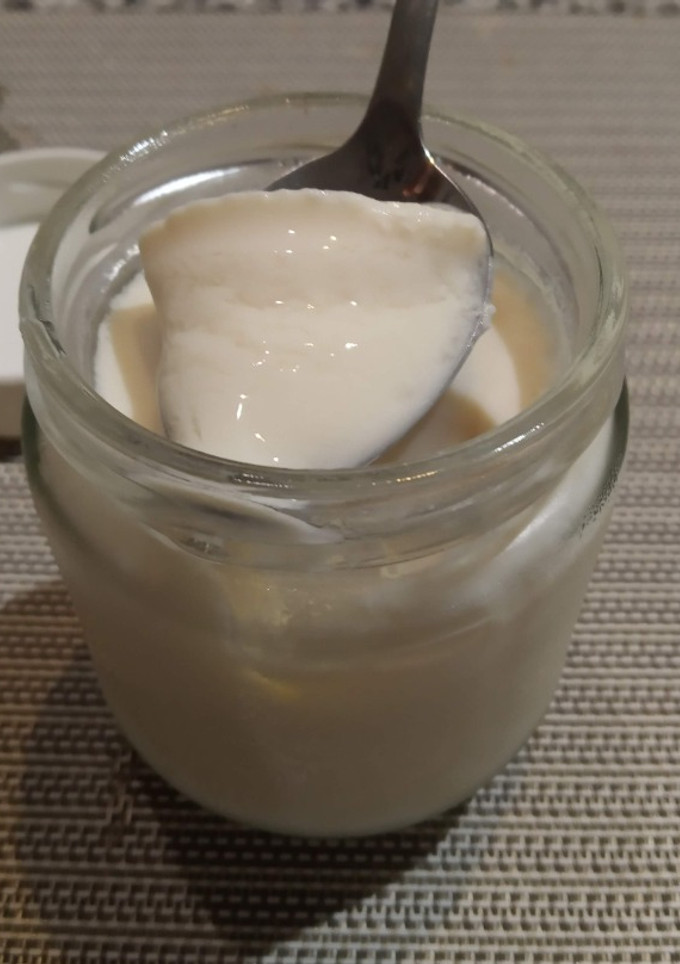 Una foto de Yogur Vegano o normal individual con Yogurtera