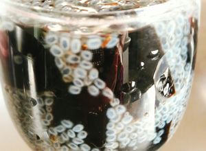 Hình của món Sương sáo hạt é.