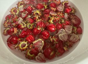 Hình của món Siro Atiso Đỏ.