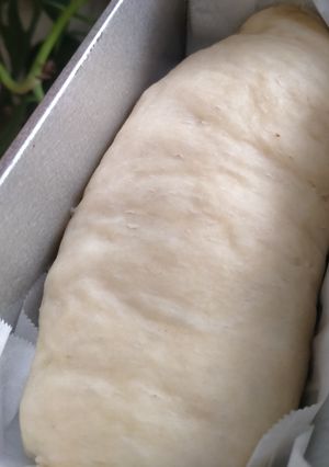 Foto resep Roti Kukus Pontianak Original (tanpa mixer)