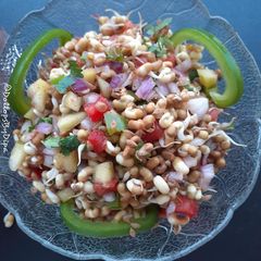 A picture of Sprouted Turkish Gram with peanuts.