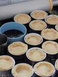 Empadas de frango