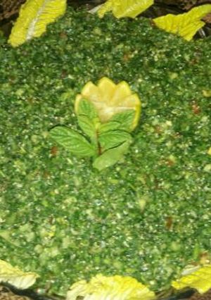 صورة لوصفة تبوله