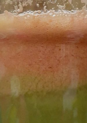 Foto resep Juice Garlic Sehat