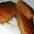 Rich carrot cake