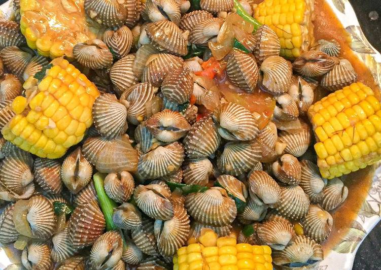 Resep Kerang Dara Saos Padang Pedasssss Jadi, Menggugah Selera