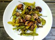 A picture of sauteed oysters