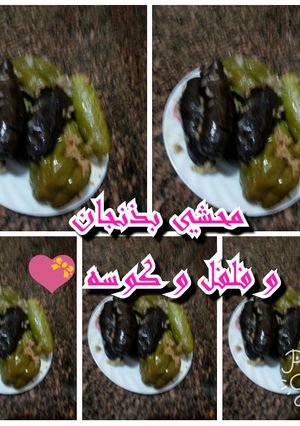 صورة لوصفة محشي مشكل * كوسه / باذنجان / فلفل *