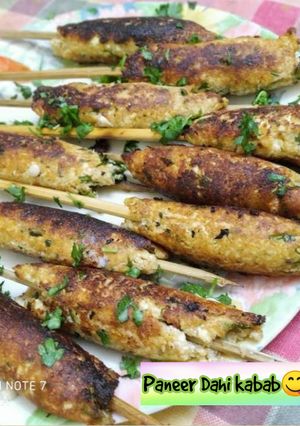 A picture of Paneer Dahi Kabab.
