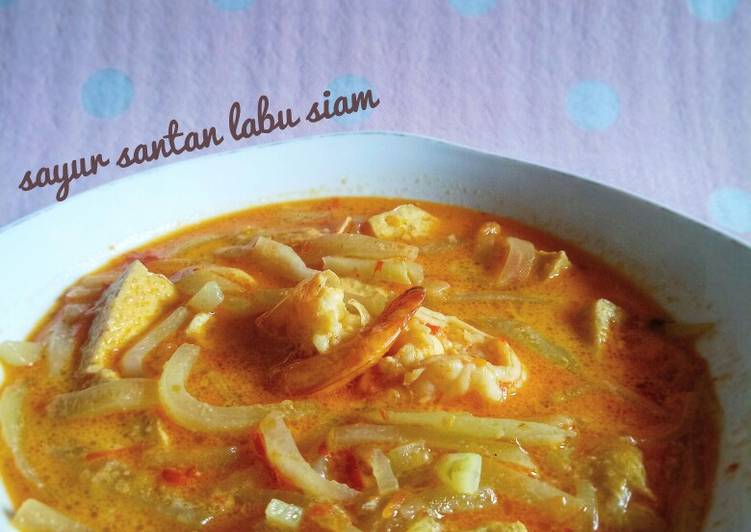 Langkah Mudah untuk Menyiapkan Sayur santan labu siam yang Bikin Ngiler