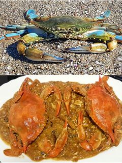 Una foto de Jaiba Azul Chili Crab Thai Style en salsa cremosa de huevo