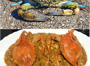 Foto principal de Jaiba Azul Chili Crab Thai Style en salsa cremosa de huevo
