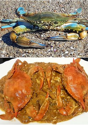 Una foto de Jaiba Azul Chili Crab Thai Style en salsa cremosa de huevo