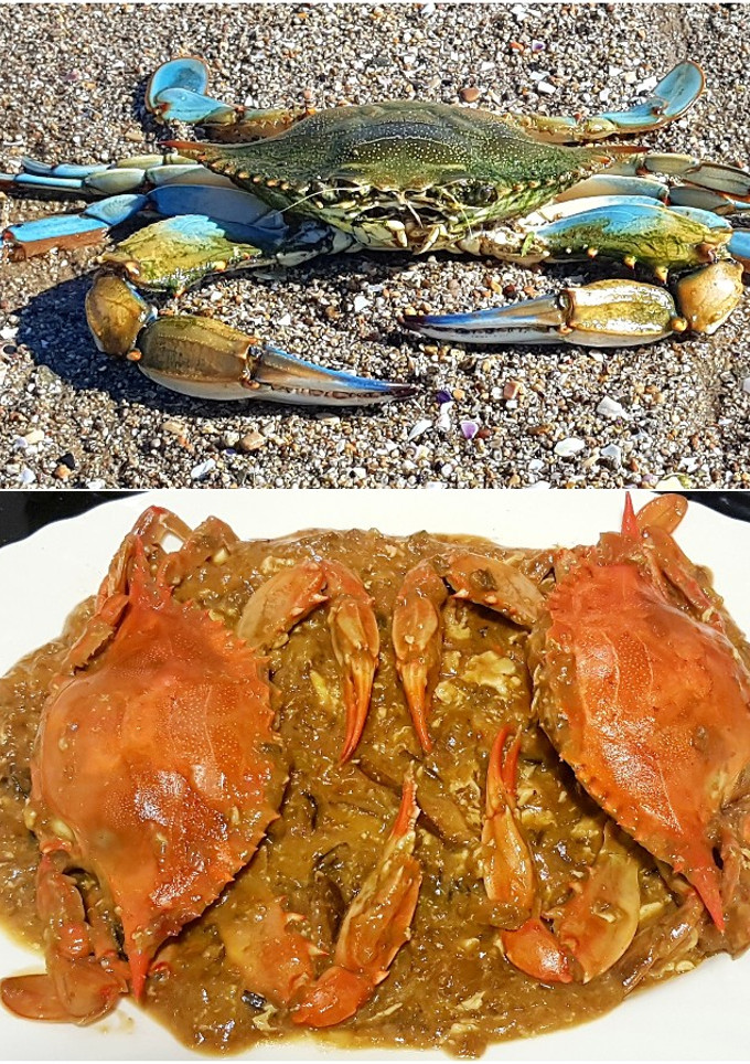 Una foto de Jaiba Azul Chili Crab Thai Style en salsa cremosa de huevo
