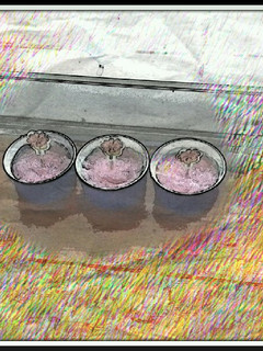 Una foto de Coloring Cake
