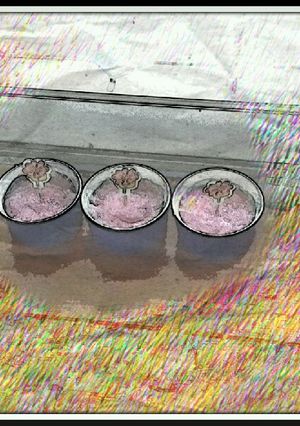 Una foto de Coloring Cake