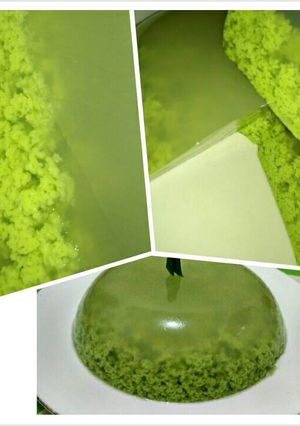 Foto resep Puding Lumut Kekinian