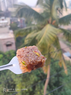 કોપરા પાક (Kopara pak Recipe in Gujarati) રેસીપી મુખ્ય ફોટો