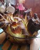 Humitas