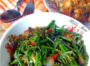 Foto resep Tumis Pedas Pakis Ebi no MSG