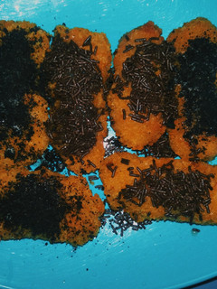 Foto resep Pisang nugget sederhana
