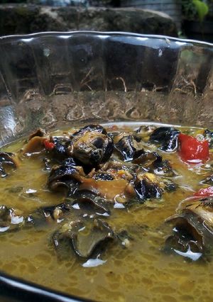 Foto resep Lodeh kiyong
