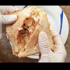 A picture of Pizza Sandwich without oven.