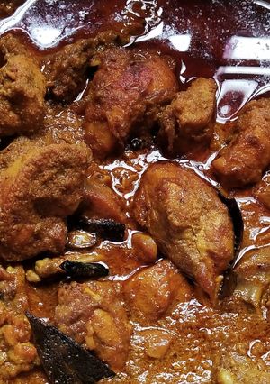 A picture of Chicken korma.