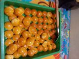 Nastar selai nanas