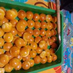 รูปของ Nastar selai nanas