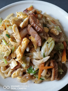 A picture of Udon.