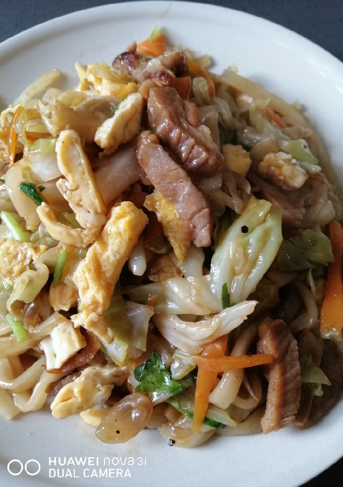 A picture of Udon.