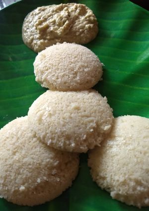 A picture of Wheat idli.