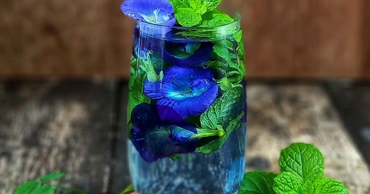 Resep Infused Water Bunga Telang & Daun Mint oleh Vey Alodia's Kitchen ...