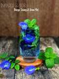 Infused Water Bunga Telang & Daun Mint
