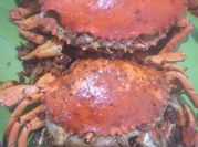 Gambar rajungan goreng