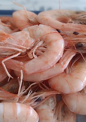 Foto principal de Gambas blancas