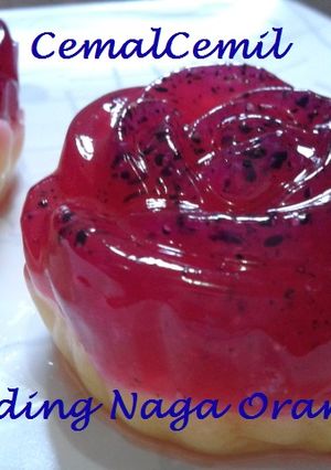 Foto resep PUDING NAGA ORANGE