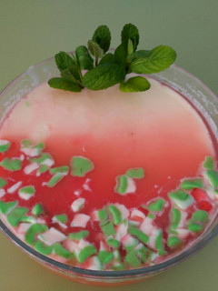 Una foto de Panacotta de Sandía