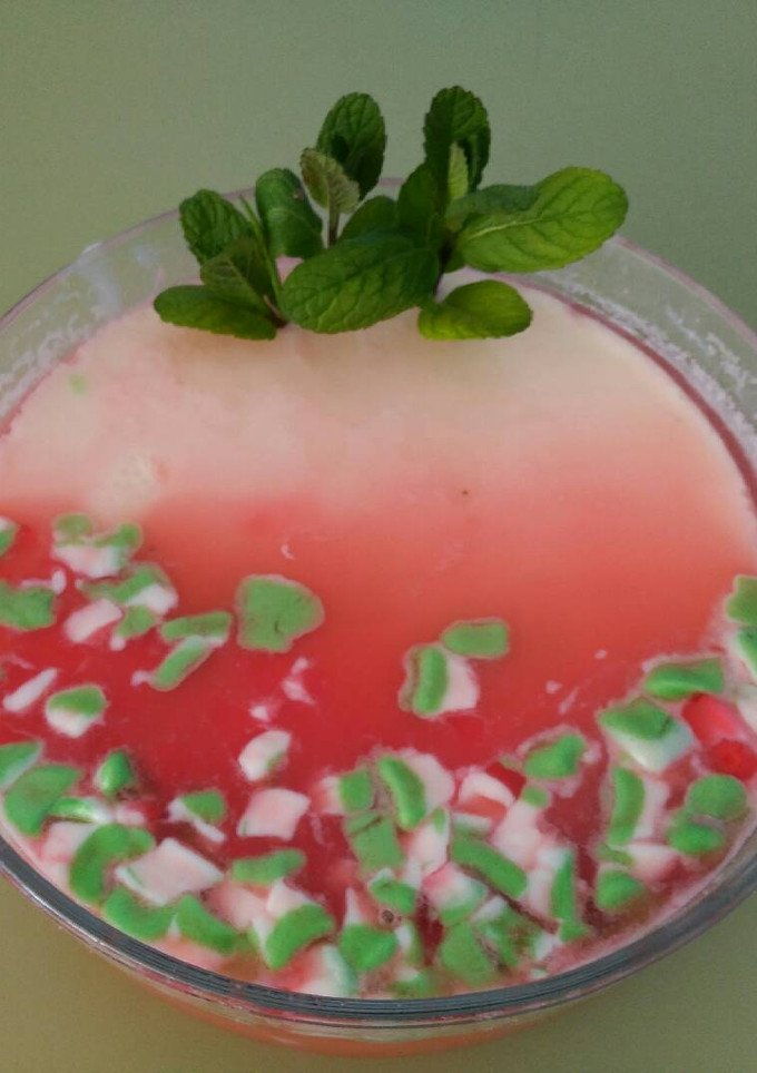 Una foto de Panacotta de Sandía